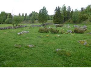 år før arealet endrer tilstand fra jordbruksareal til skog eller åpen fastmark eller myr i AR5.