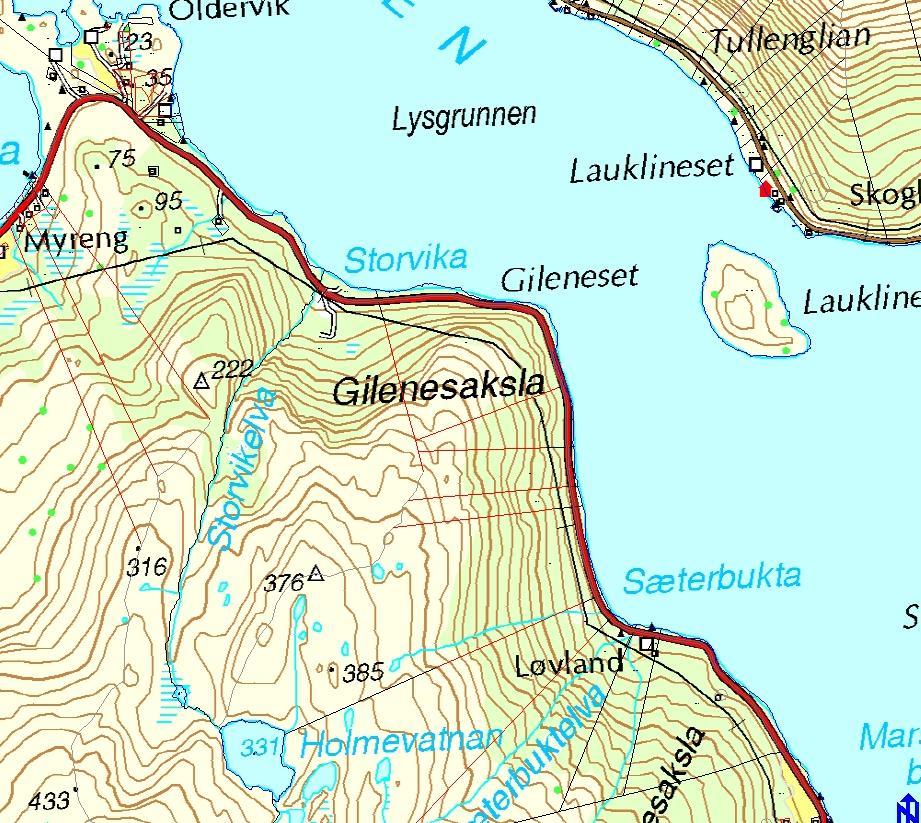 8. Slettneset, mellom Grønås og Kvitberg Gårds- og bnr. 174/2 Grunneiere: Per Tore og Turid Uteng. Neset nederst i kartet. Ikke merket på kartet, men på forsida.