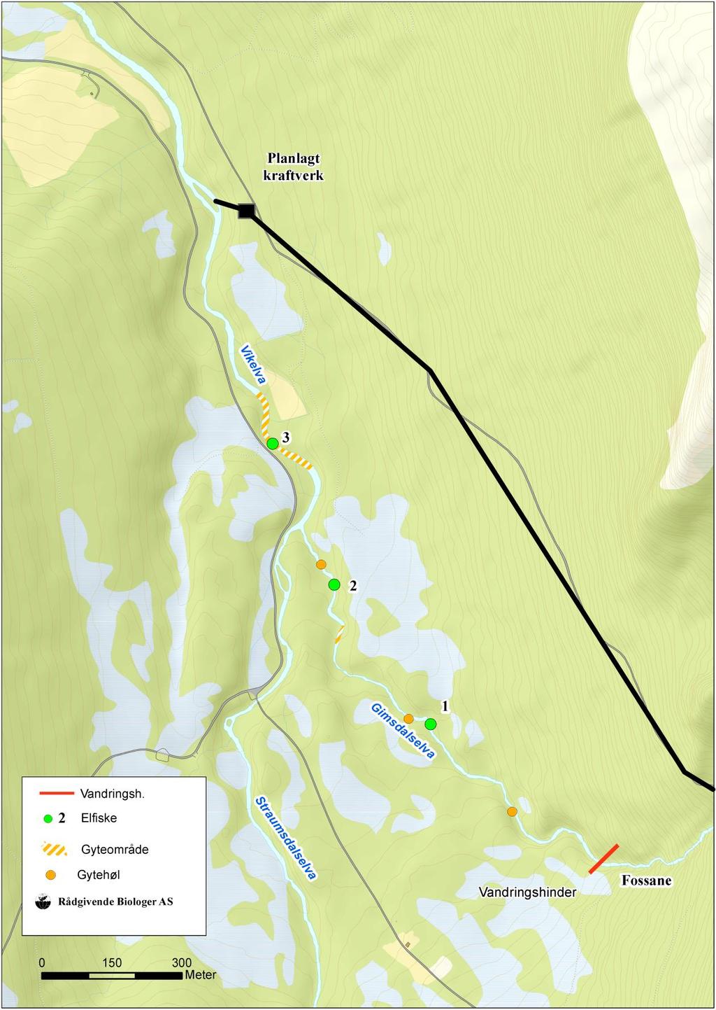 Figur 1. Gimsdalselva og øvre del av Vikeelva, med planlagt kraftstasjon. Anadromt vandringshinder i Gimsdalselva er markert.