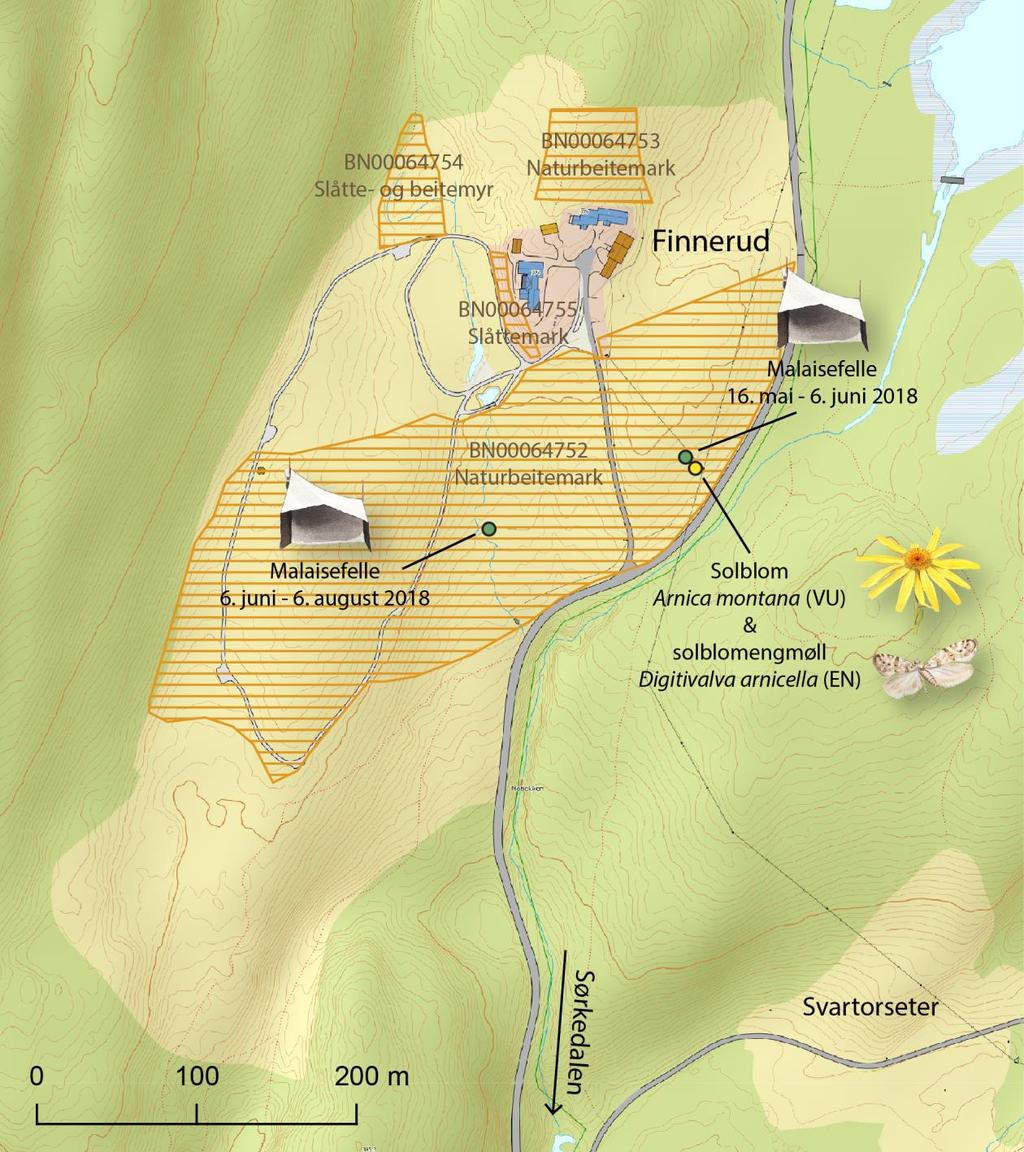 Figur 3. Oversiktskart over Finnerud i Oslo kommune. Fire naturtypepolygoner er registrert på innmarken, markert med oransje skravering i kartet.