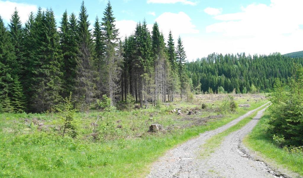 4 LANDSKAPET, FUNN OG FORNMINNER Planområdet lå 5-6 km nord for Brumunddal sentrum, vest for elva Brumunda. Planområdet var avgrenset av elven Brumunda i nordøst og en bratt kolle i vest.