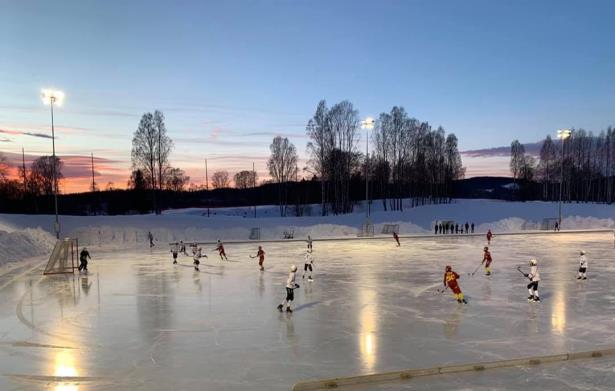 Røa Bandy Småguttlaget Småguttlaget 2-3 treninger pr uke - pluss en egen 04-trening for de som ønsket - en felles 04/05 NM-trening pr uke Cuper - Kosa, MWC, Frigg, MIF Vassenga Interkrets A og NM