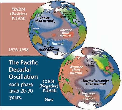 The Pacific Decadal Oscillation