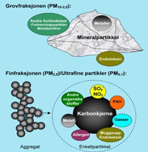 Aktuelle luftforurensningskomponenter som kan gi helseeffekter Svevestøv (PM 10, PM 2,5, PM 0,1, grov-, fin- og ultrafin-fraksjon)