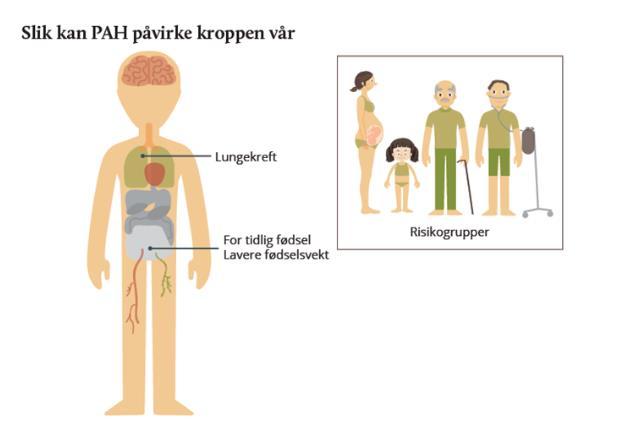 Helseeffekter av PAH Kritisk effekt av PAH er lungekreft Andre helseeffekter som er sett i