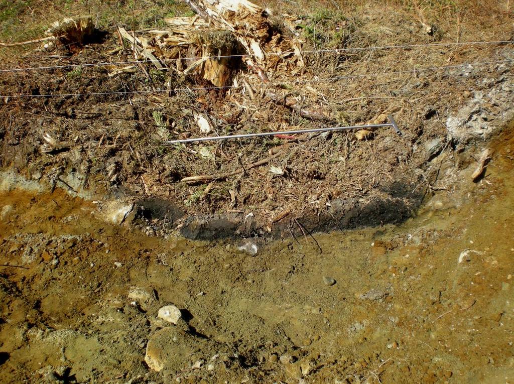 Figur 4: Kullgropa Id129314-2 profil, sett mot vest. 7. LITTERATUR Paulsen, I 2005: Rapport, arkeologisk utgravning. Kullgroper fra vikingtid/middelalder.