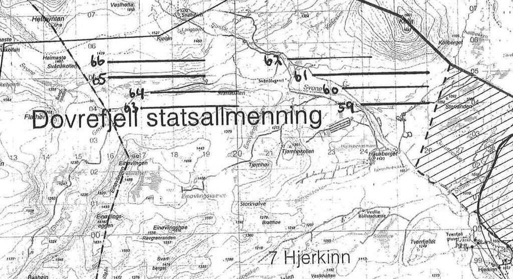 Kart 5: Kart over takseringslinjene som Dovre fjellstyre bruker. De fleste rypekyllinger klekkes i siste halvdel av juni og den første uka i juli, vanligvis siste uka i juni.