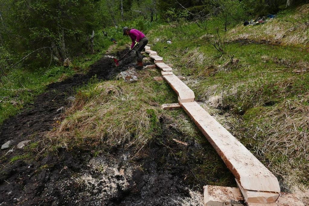 Rapport 22/03/2019 7 3 Tiltak 2018 Nasjonalparkstyret har i 2018, som i tidligere år, hatt en ambisiøs tiltaksplan med mange små og store tiltak. Styret får investeringsmidler over statsbudsjettet.