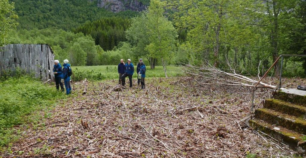 Rapport 22/03/2019 12 4.4 Befaringer/studieturer I tilknytning til styremøtet i august hadde styret befaring på Nevnernes havn og i Tosbotn.