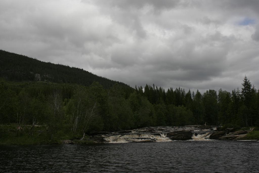 Forekomst av elvemusling, Margaritifera margaritifera, i Elstadelva