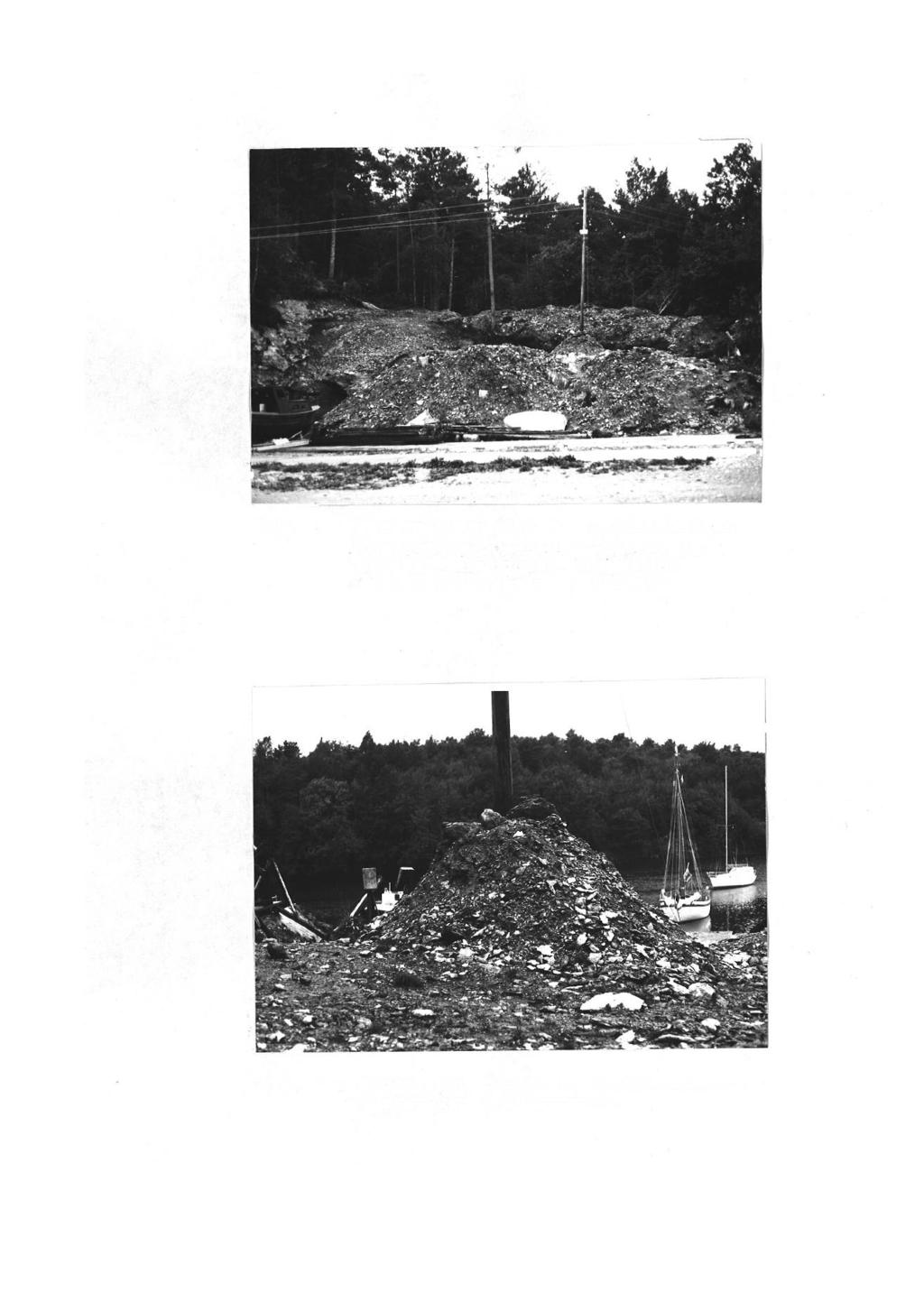 x - >=. Fig. 1 - Kleberhaugen fra N. Avfallshaugen fortsetter 30-40 m innover i skogen.