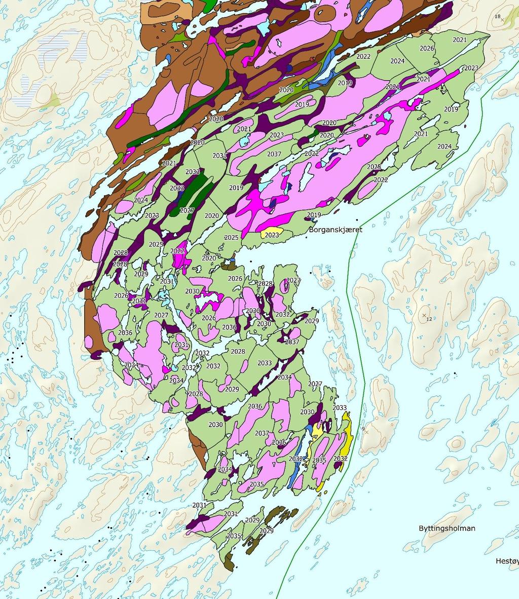 Figur 8. Forslag til brenning øst på Kalvøya 2019-37 med avgrensing av potensielle brannflater (lys grønn) og år for brenning. Vegetasjonskart i bakgrunnen.