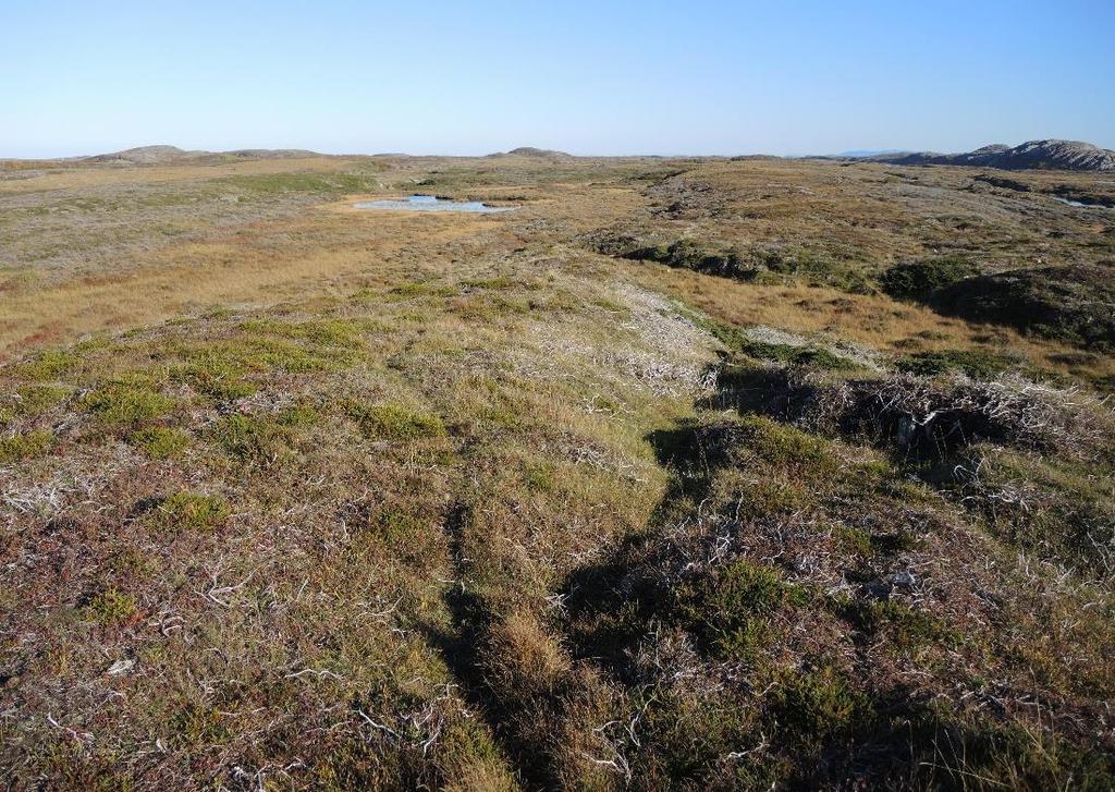 2.8 Bilder Figur 9. Skjøtselsområdet på Kalvøya sett fra Åsen (se og forside).