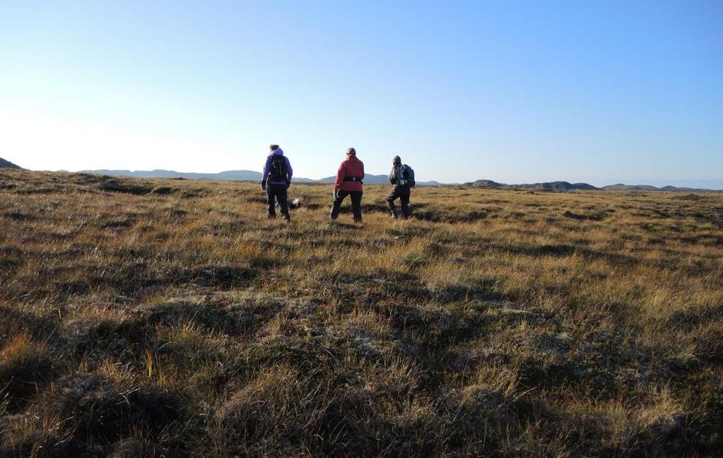 3.7 Bilder Figur 14. Befaring på vestsida av Kalvøya, i nærheten av Hattholmen.