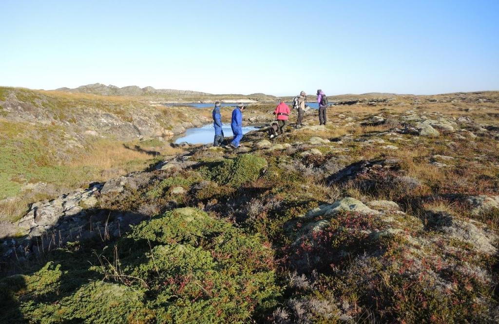 Befaring på vestsida av Kalvøya, i nærheten av Hattholmen. UTM 32V 7206N,585Ø.