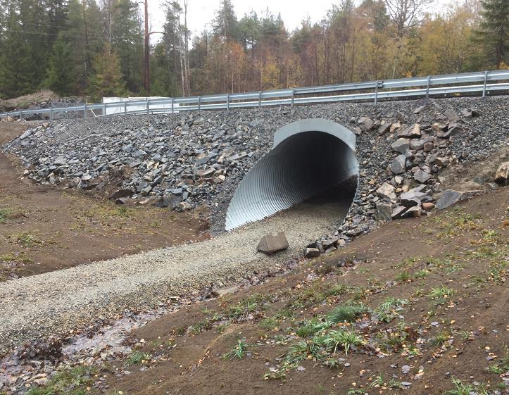 omlagt sti til Molbekk Skilting i hele Mosseskogen for