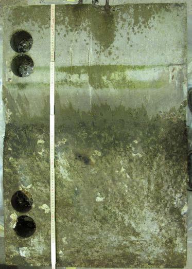 State-of-the-Art report: Fly ash in concrete, Danish experience, Jan 2015 Atmospheric zone (300 mm) Splash zone (300 mm) Submerged zone (400 mm) Figure 7 Panel from Träslövsläge field site, Sweden.
