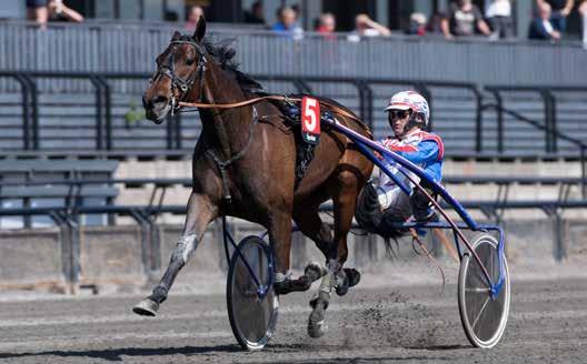 GRATIS INNGANG anekode: 0 Varmingsinfo fra Ole Jonny Solberg JERKEANEN Nr /09 Kr Ilenna onanza/per Oleg Midtfjeld. Foto: hesteguiden.com www.bjerke.