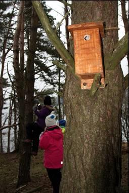 Aktiviteter Småspeiderne på vårtur til øya Line. Selvsnekrede fuglekasser ble montert rundt omkring i skogen. Møter Speiding er en uteaktivitet.