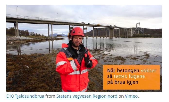 Bedre bruvedlikehold Prosjekt 3 Alkalireaksjoner E10 Tjeldsundbrua