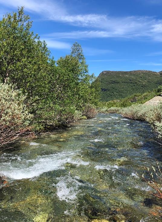 Maks 500 meter til nærmeste tursti. Hvorfor? Nærturområder er viktige lavterskeltilbud som kan brukes av alle, uansett alder og ferdigheter. Vi må kunne gå på tur uten å kjøre bil først.