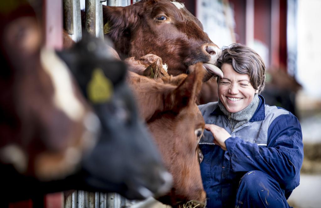 1) En glad bonde er en bra bonde Det er den som steller dyra som påvirker dyrevelferden aller mest, og både den psykiske og den fysiske helsa har betydning for hvordan dyra blir ivaretatt.