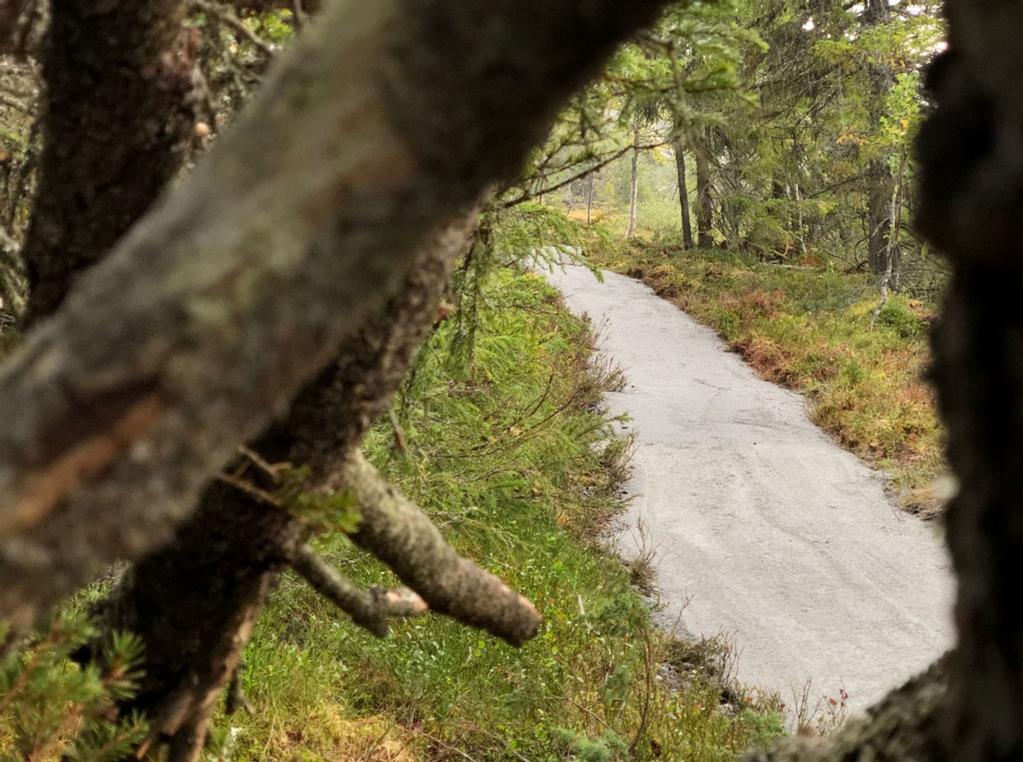 Drenering Stien legges slik i terrenget at den blir naturlig drenert. Minimalt med grøfter, og ingen dreneringsrør. Drenering vil skje over stiens overflate.