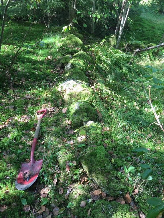 Rydningsrøysene ligger kant i kant og nord for en sti som går i fra bebyggelsen i vest og østover inn i skogen. Sør for stien er det en lav bergkolle og sør for denne ligger steinstrengen.