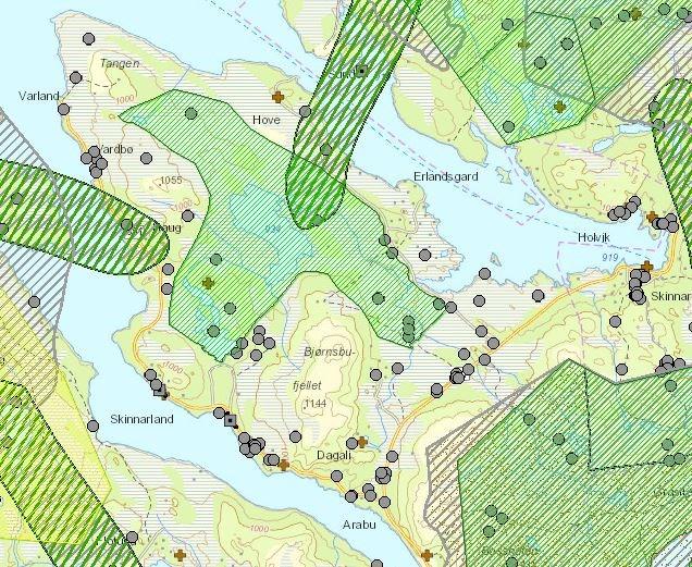 Frå starten av løypa er det registreringar av ei rekkje fuglar. Gauk, blåstrupe, lirype, taksvale og etter kvart myrhauk. Det er og gjort registreringar av gulspurv, sivspurv og bergand.