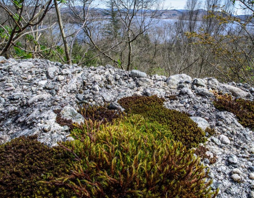 veiføringskanten i Aksdal naturreservat. Foto Asbjørn Erdal.