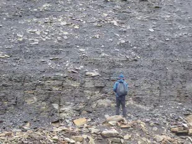 Bergarten er sandstein med utpreget lagdeling, som er typisk for Svalbards geologi. Bergmassene i dette området er sterkt oppsprukket, se Figur 5.