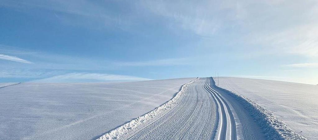 BESØKSADRESSE: Foto: Trine Ruud Bråten Rådhuset