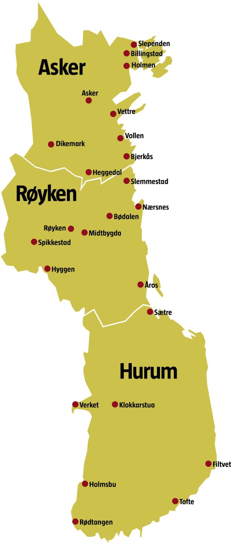 Noen viktige diskusjoner Hva er kjennetegner et godt lokaldemokrati? Hva er forskjellen mellom det representative og deltakende demokratiet?