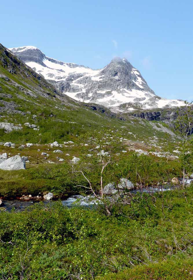 Aldersbestemmelser på mineraler og bergarter benytter seg av ulike radioaktive grunnstoff som finnes naturlig i mineralene/ bergartene.