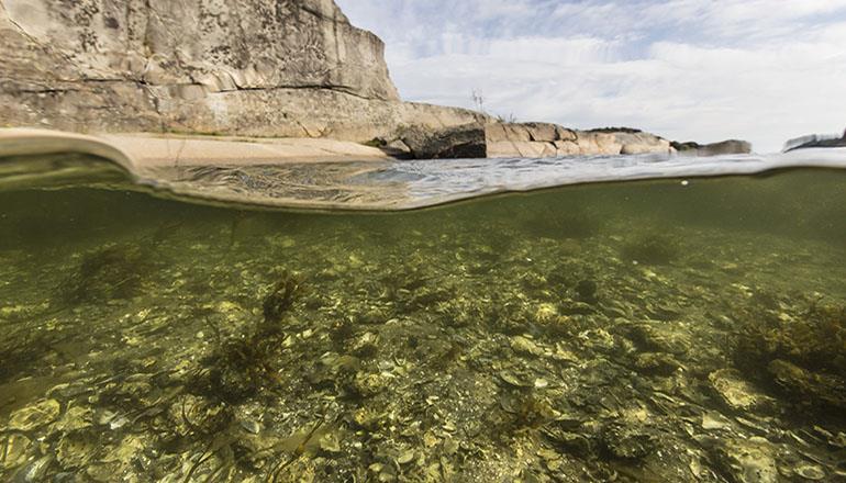 Påvirke oss menneskers bruk av kystområder?
