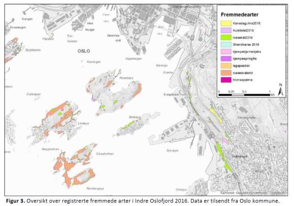 7. Naturmangfold Oslo og Akershus har et svært rikt plante- og dyreliv, og det er viktig å bevare sårbare stedegne arter og bekjempe fremmede arter.