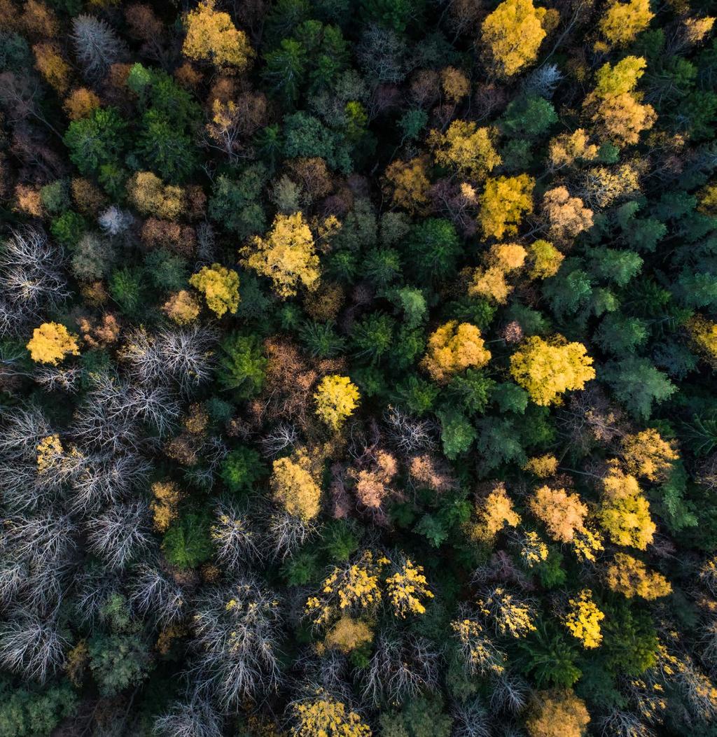 vanlige spørsmål 1. HVA ER ÅRSAKEN TIL KLIMAENDRINGENE? Drivhuseffekten er en prosess som varmer opp overflaten på jorden og endrer den naturlige klimabalansen.