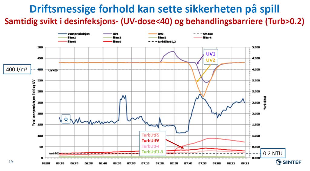 Kilde: Bjørnar