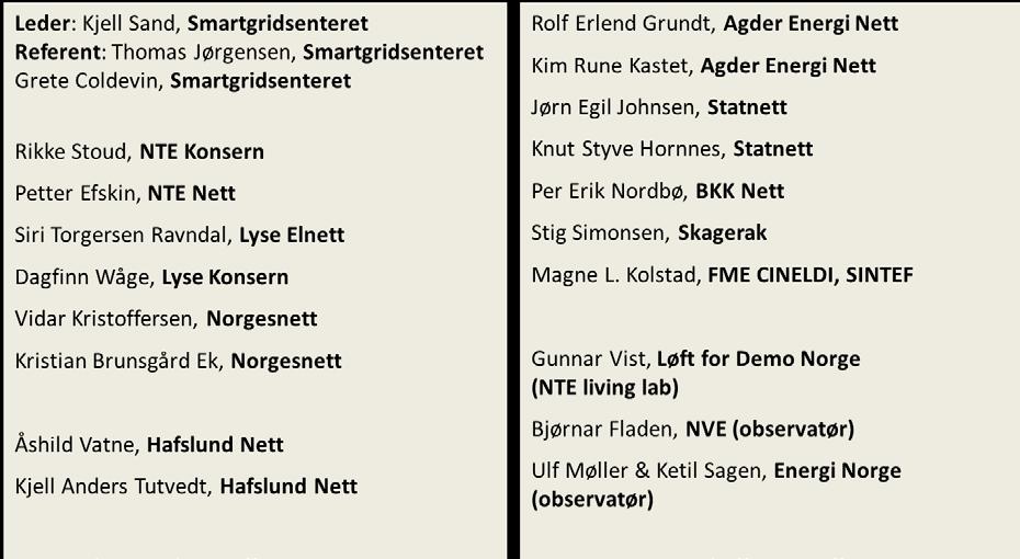 5 Lab, test- og demonstrasjon: "Demo Norge" Senteret har over mange år jobbet for å koordinere, promotere og konkretisere "Demo Norge for Smartgrids".