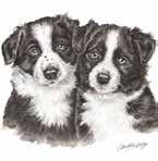 Spaniels