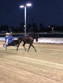 Aktivitetsdager på Travbanen andag /: in ponni, 8... økke, koste, ordne fôr, ta inn ponni, børste, kose, ri eller kjøre, børste igjen, slippe ut og fôre lunsj.