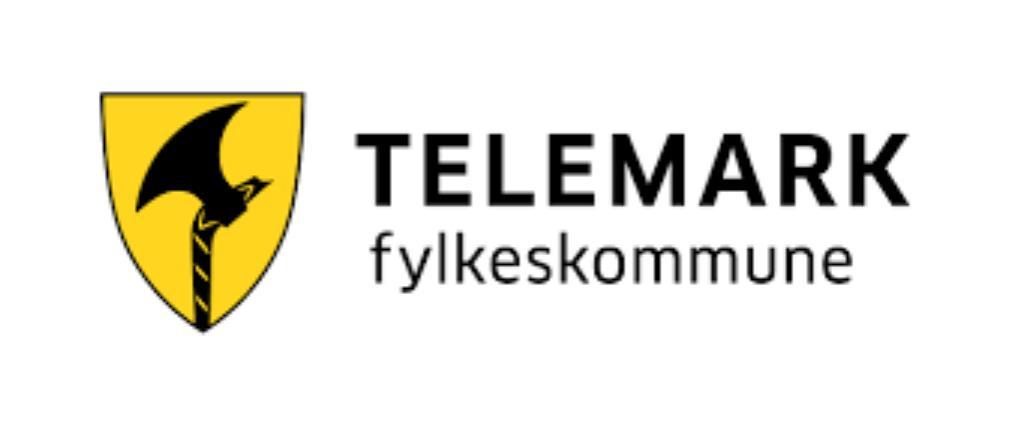 ÅRSRAPPORT 2017 TELEMARK UNGDOMSRÅD Innledning 2017 har vært et veldig spennende og lærerikt år for Telemark Ungdomsråd.