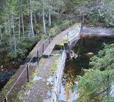 Vannet ligger nedstrøms Lauvtangen og Steinsortungen, og har utløp via Sortungsbekken. Dammen ble bygget i 1885 av samme årsak som Lauv tangendammen.