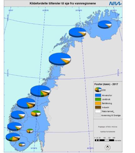 bestandene i den norske laksens kjerneområder i Trondheimsfjorden er kraftig svekket.