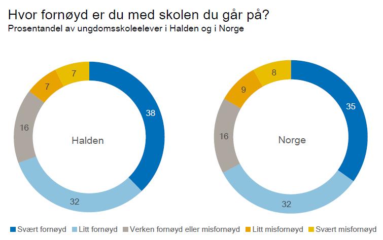 Kommunedelplan Oppvekst 2019-2031 Andel ungdomsskoleelever som oppgir at de er fornøyd med lokalmiljøet, er ikke entydig forskjellig fra landsnivået (70 %).