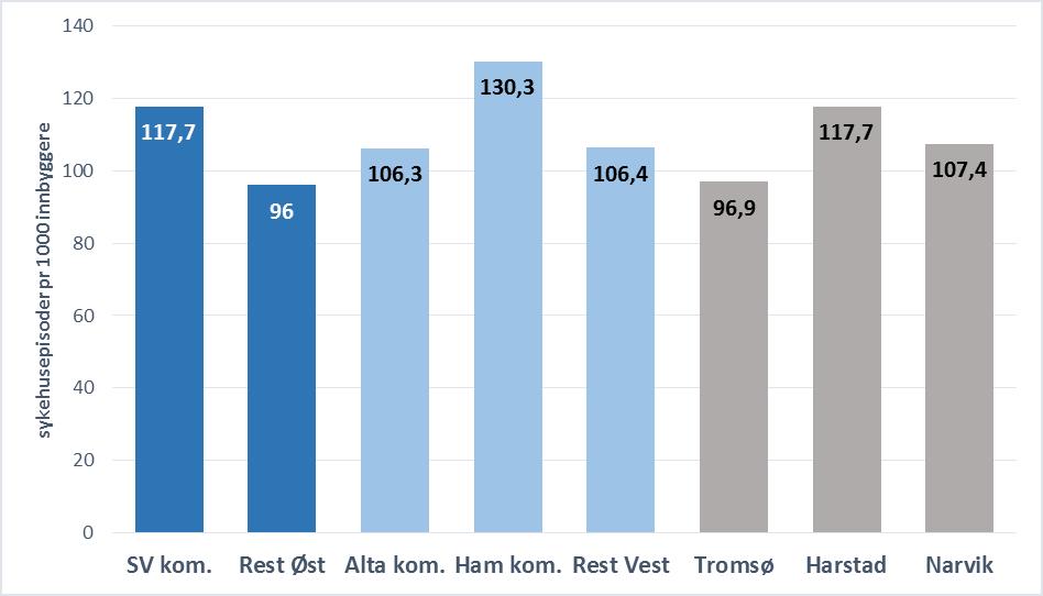 Alle akutte sykehusepisoder, rater «Vertskommuneeffekt?