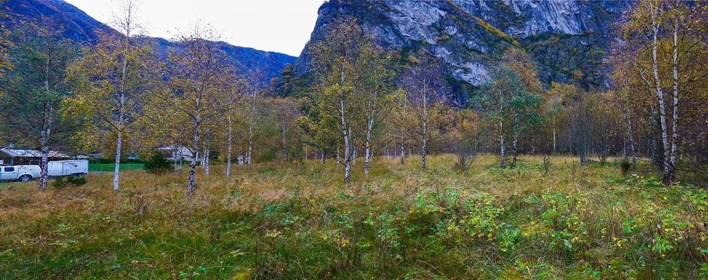 7.8 Naturmiljø og naturmangfald Kunnskapsgrunnlag og planen si verknad, jf. NML 8 og 9 Planområde ligg i dag på eit område som består hovudsakleg av breelvavsetningar, såkalla glasifluvialt materiale.