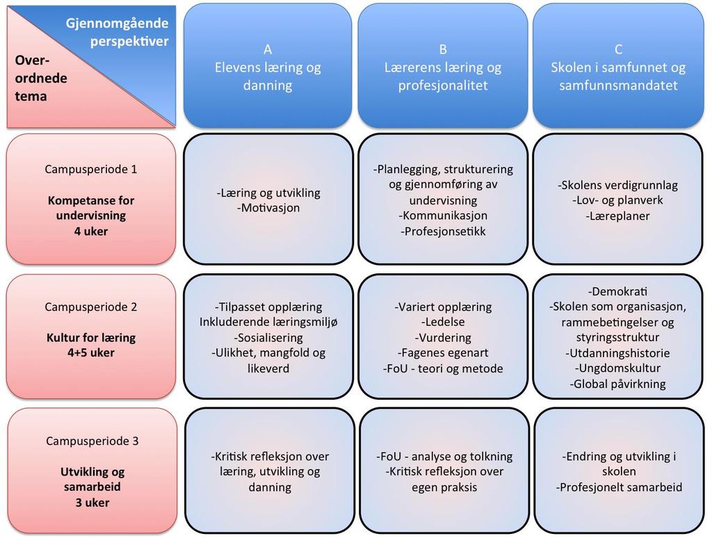 OVERORDNA UNDERVISINGSPLAN Studiet legg vekt på tre sentrale område: Elevane si læring og danning, læraren si læring og profesjonalitet og skulen i samfunnet og samfunnsmandatet.