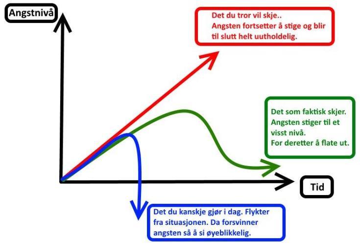 Det er altså viktig at du gir deg selv en sjanse til å oppleve hva som skjer dersom du blir værende i situasjonen, noe som ikke er mulig å oppleve dersom du flykter fra situasjonen.