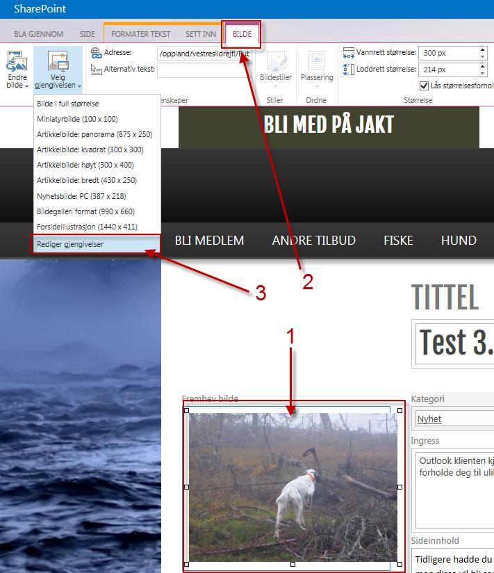Endre bildeutsnittet på siden (artikkelmalen). SharePoint lager et utsnitt av bildet som passer til sideoppsettet.